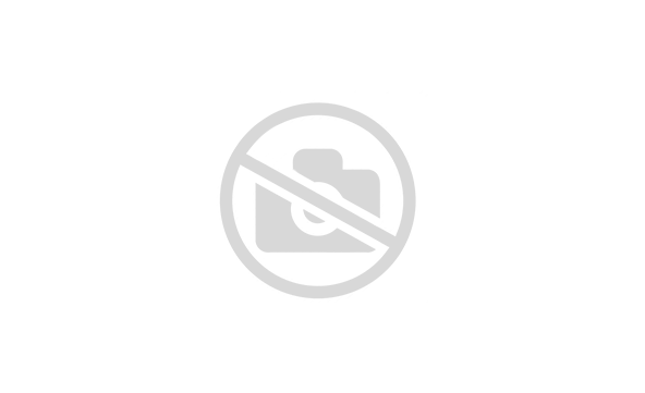 Распределительный валик с шестерней